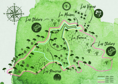 Cartographie – Domaine Monte Verdi